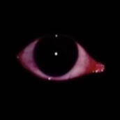 SPEC • COE • NANO